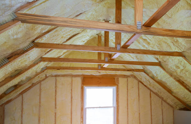 Best Insulation Maintenance and Repair in Ferndale, MI
