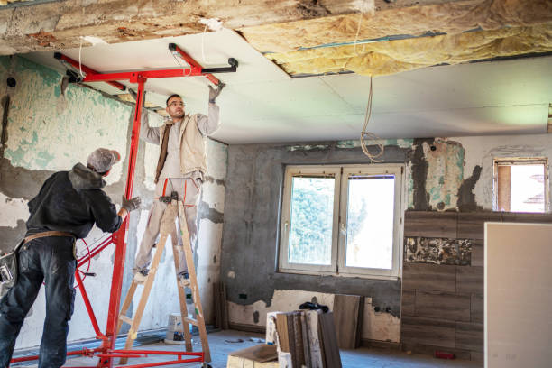 Best DIY Insulation Kits and Guidance in Ferndale, MI