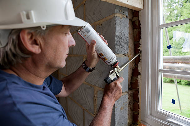 Best Eco-Friendly Insulation in Ferndale, MI